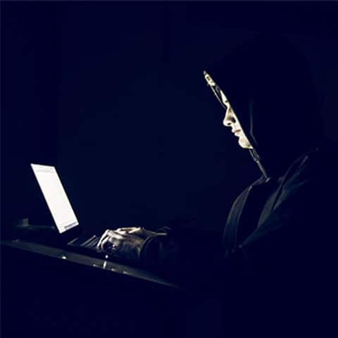 Online criminaliteit